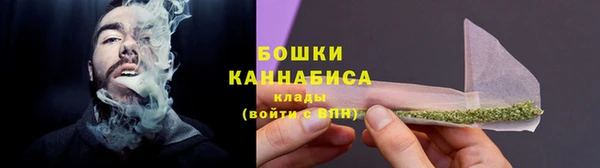 PSILOCYBIN Белокуриха